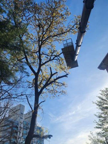 스카이차 작업 현장 사진